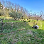 Apartmán La Casa Di Lina Bardolino