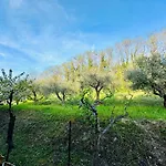 La Casa Di Lina Apartmán Bardolino