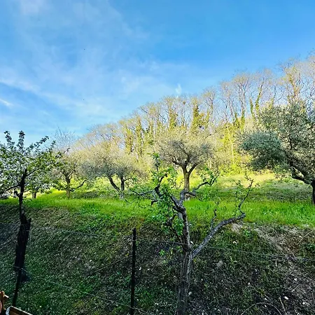 La Casa Di Lina Apartment Bardolino
